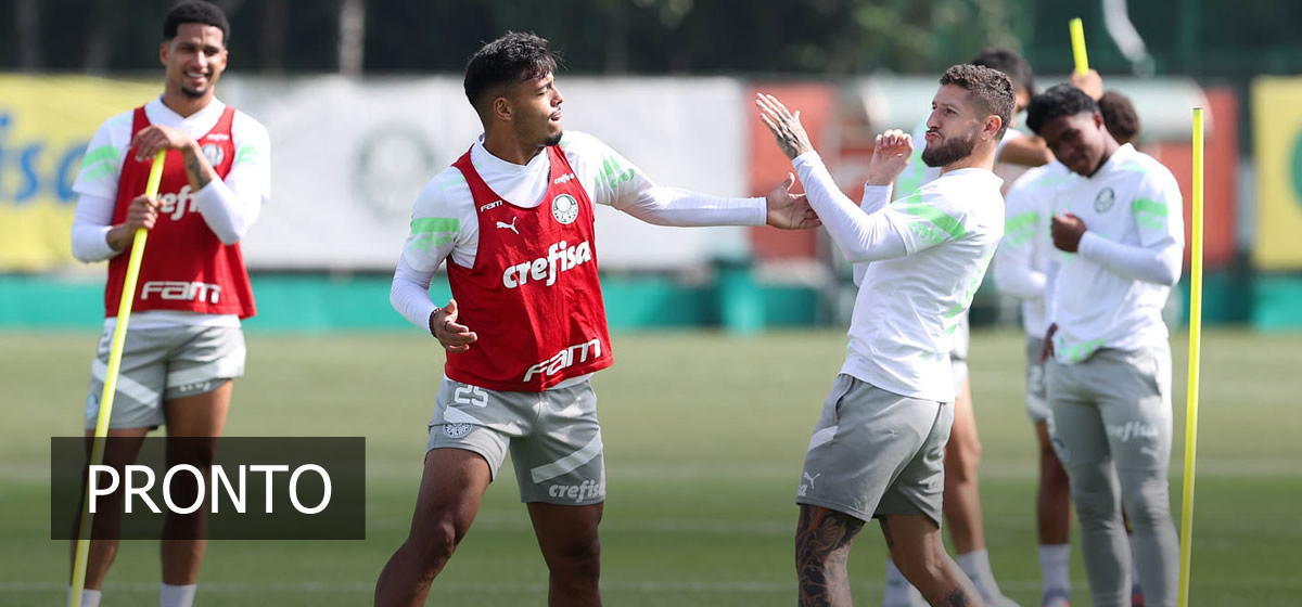 Palmeiras Encerra Prepara O Para Enfrentar O Atl Tico Mg Escala O