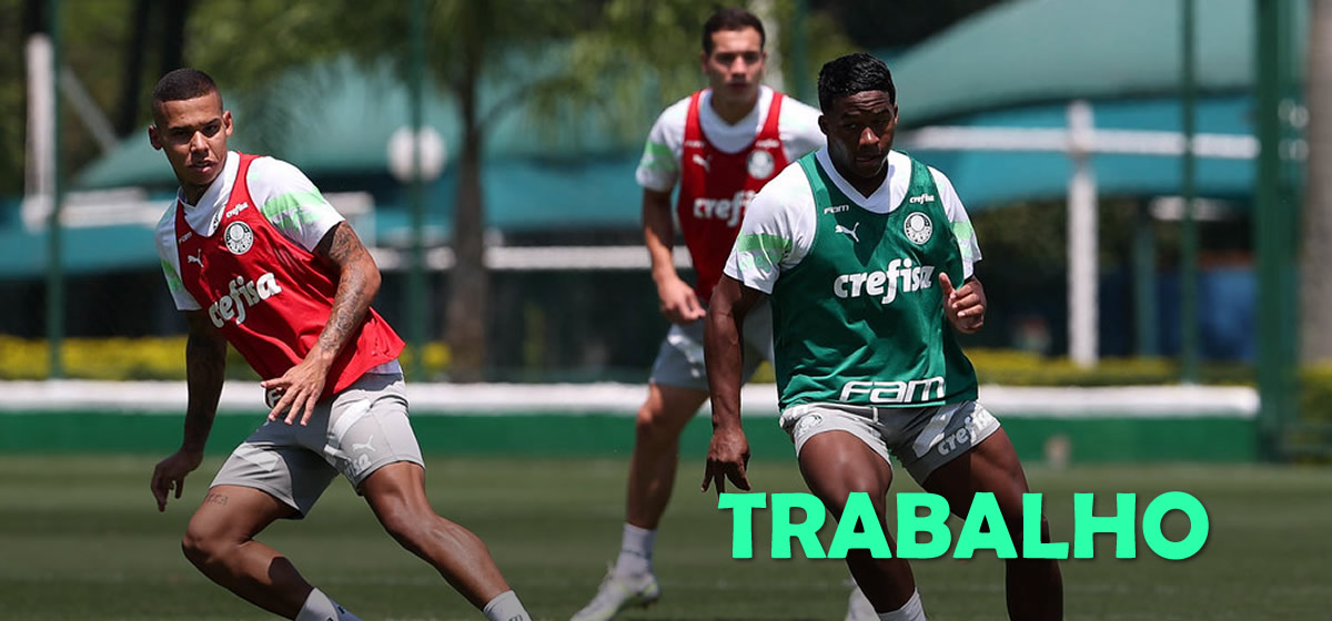 Palmeiras inicia preparação para enfrentar o São Paulo Abel terá