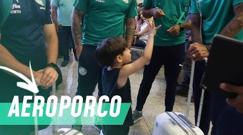 Palmeiras chega ao Rio para enfrentar o Vasco
