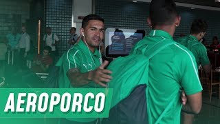 Palmeiras chega ao Rio para enfrentar o Fluminense