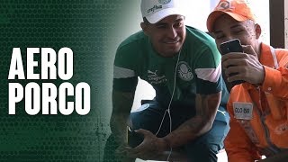 TV Palmeiras acompanha viagem do Verdão à Orlando-EUA