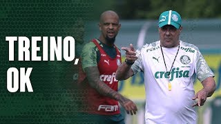Verdão treina e Luxa fala à TV Palmeiras