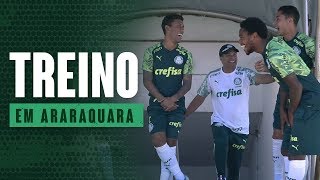 TV Palmeiras: Verdão treina em Araraquara para o clássico