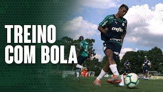 TV Palmeiras fala com auxiliar de Luxa