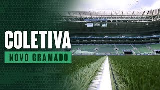 Coletiva de apresentação do novo gramado