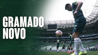 Veja como foi o primeiro treino do Verdão no gramado sintético