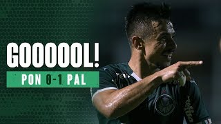 TV Palmeiras: o gol de Willian contra a Ponte Preta