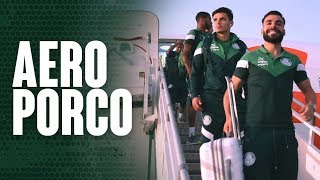 Veja como foi a viagem do Verdão à Argentina