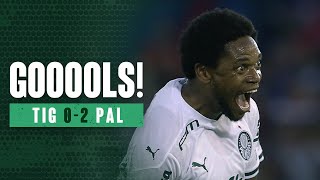 TV Palmeiras: os gols do Verdão na estreia da Libertadores