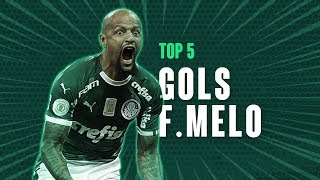 TV Palmeiras: Top5 gols do Felipe Melo