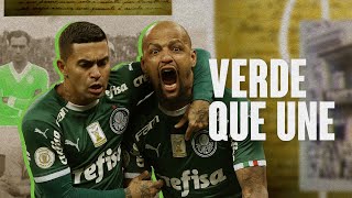 “Sociedade Esportiva do Brasil”. Veja o novo vídeo do Palmeiras