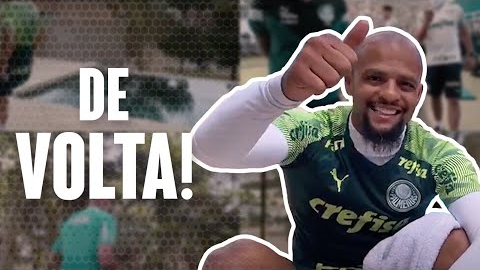 TV Palmeiras: Verdão volta a treinar à distância