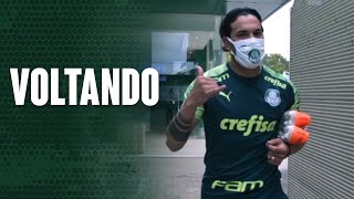 TV Palmeiras: Gómez é a novidade no terceiro dia da readaptação física