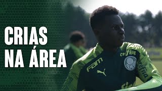 TV Palmeiras: jogadores do Sub-20 são incorporados ao elenco profissional