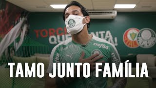 De contrato renovado, Gómez fala à TV Palmeiras