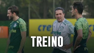 Pós-título Paulista e foco no Brasileirão: Luxa fala à TV Palmeiras
