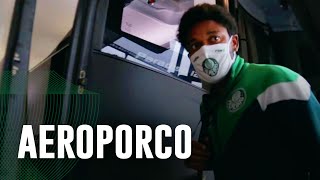 TV Palmeiras: veja como foi a viagem do Verdão a Curitiba
