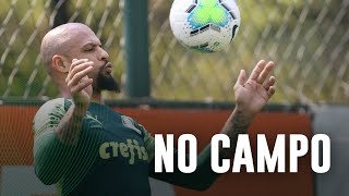 TV Palmeiras: Felipe Melo e Marcos Rocha avançam na recuperação