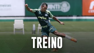 TV Palmeiras: Verdão se reapresenta e Veron marca golaço; assista