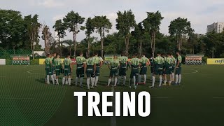 Palmeiras se prepara para enfrentar o Bahia; assista