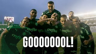 TV Palmeiras: assista aos gols de Raphael Veiga e Willian