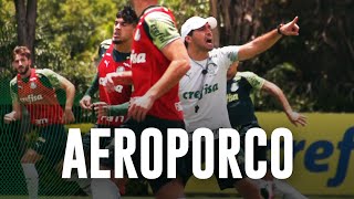TV Palmeiras: treino de domingo + viagem à Argentina