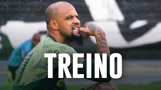 TV Palmeiras: veja como foi o primeiro treino no Nilton Santos