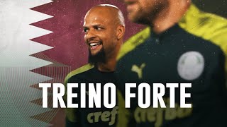 TV Palmeiras: Verdão treina para enfrentar o Tigres