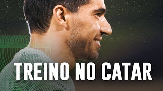 Veja como foi o primeiro dia de treino do Verdão em Doha