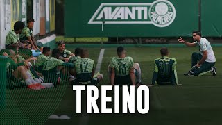 TV Palmeiras: o último treino antes da final