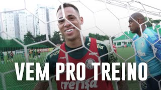 TV Palmeiras: veja como foi o treino de terça-feira