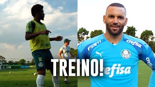 TV Palmeiras: veja como foi o treino de segunda-feira