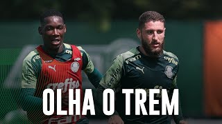 TV Palmeiras: Zé Rafael é novidade no treino de sábado