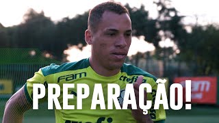 TV Palmeiras: veja como foi o treino de quarta-feira