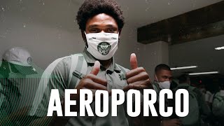 TV Palmeiras: Verdão treina e embarca para enfrentar o CRB