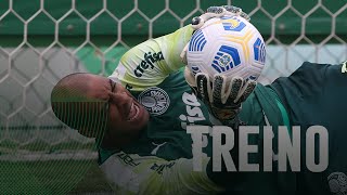 TV Palmeiras: Verdão treina para enfrentar o CRB