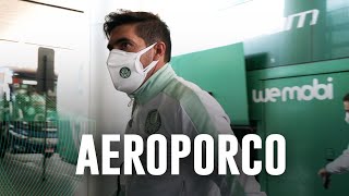 TV Palmeiras: delegação alviverde é vacinada no Paraguai