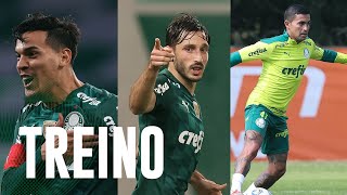 TV Palmeiras: Gómez e Viña se reapresentam e Dudu treina com o elenco