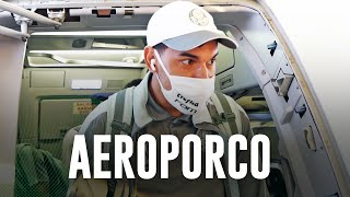 TV Palmeiras: treino de segunda-feira + viagem a Belo Horizonte
