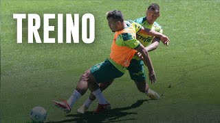 Palmeirenses mostram boa pontaria em treino de finalizações; assista