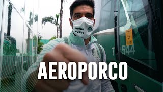 TV Palmeiras: treino de segunda-feira + viagem a Salvador