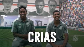 Do Sub-11 ao Sub-20: Endrick e Luís Guilherme brilham na base do Verdão