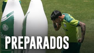 TV Palmeiras: o último treino do Verdão antes do clássico