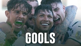 TV Palmeiras: assista aos gols de Rony e Raphael Veiga contra o Santos