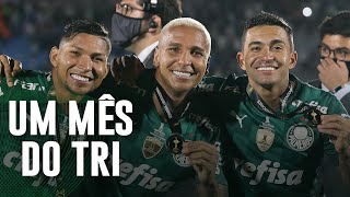 Palmeiras comemora 1 mês do Tri da Libertadores