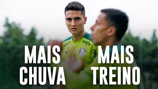 TV Palmeiras: um resumo da terça-feira do Verdão
