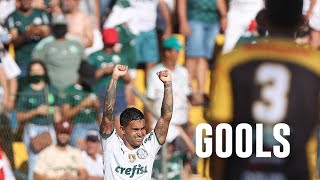 Assista aos gols de Zé Rafael e Dudu contra o Novorizontino