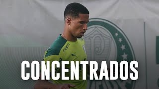 TV Palmeiras: Verdão inicia preparação para decisão do Paulista