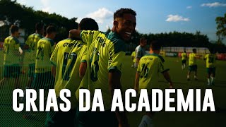 TV Palmeiras: Sub-20 treina na Academia de Futebol