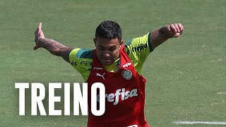 TV Palmeiras: resumo do treino de segunda-feira + papo com Dudu